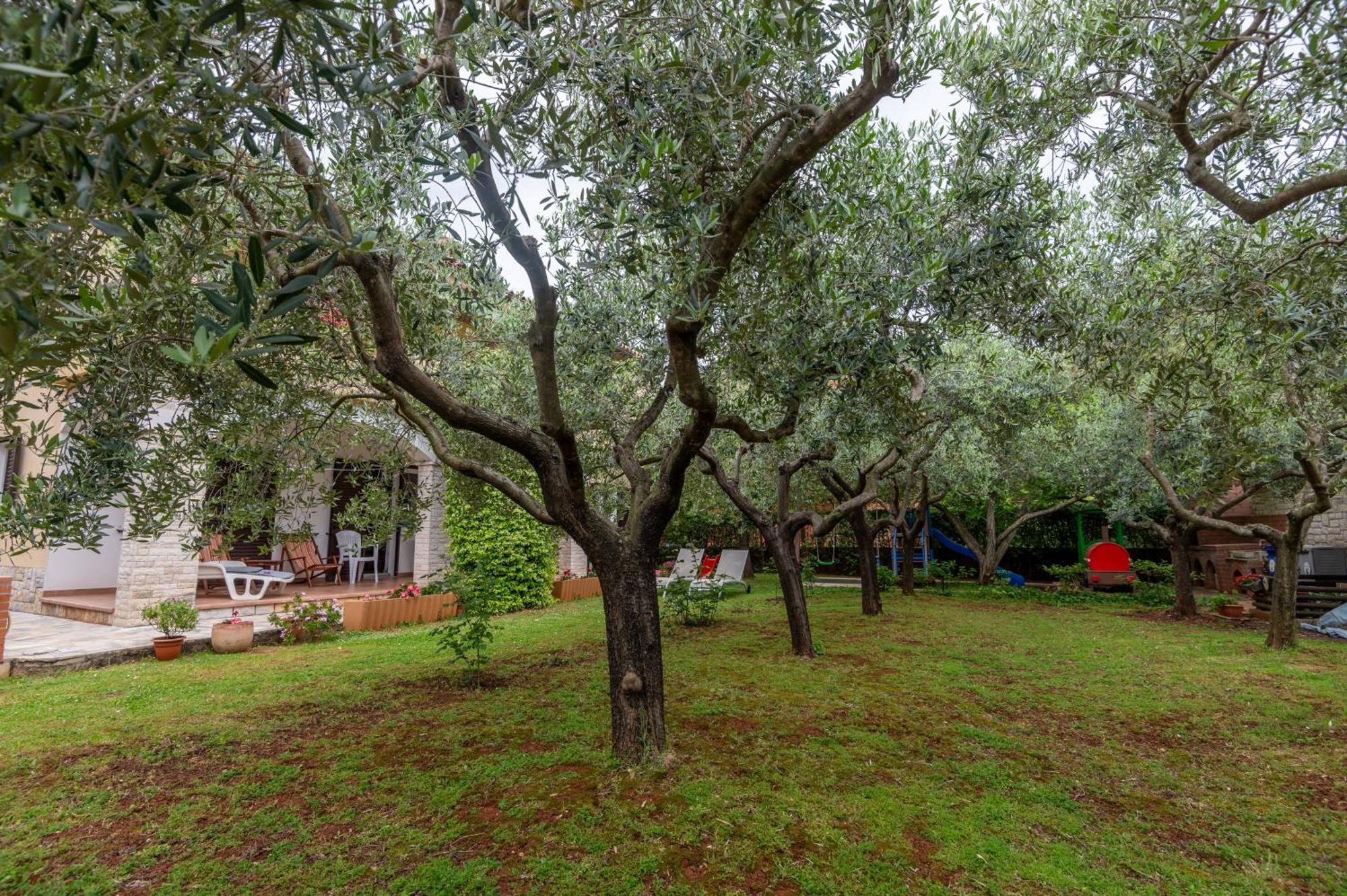 Apartments Mirella Novigrad Istria Kültér fotó